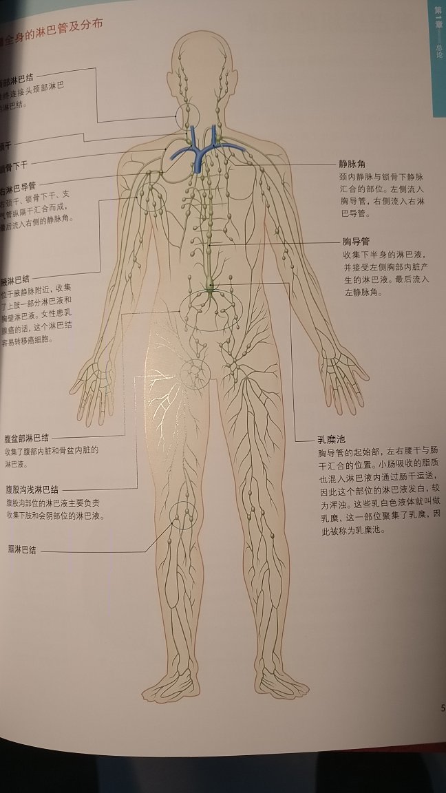 全彩印刷，真棒，值得每一个学医的人入手入门。