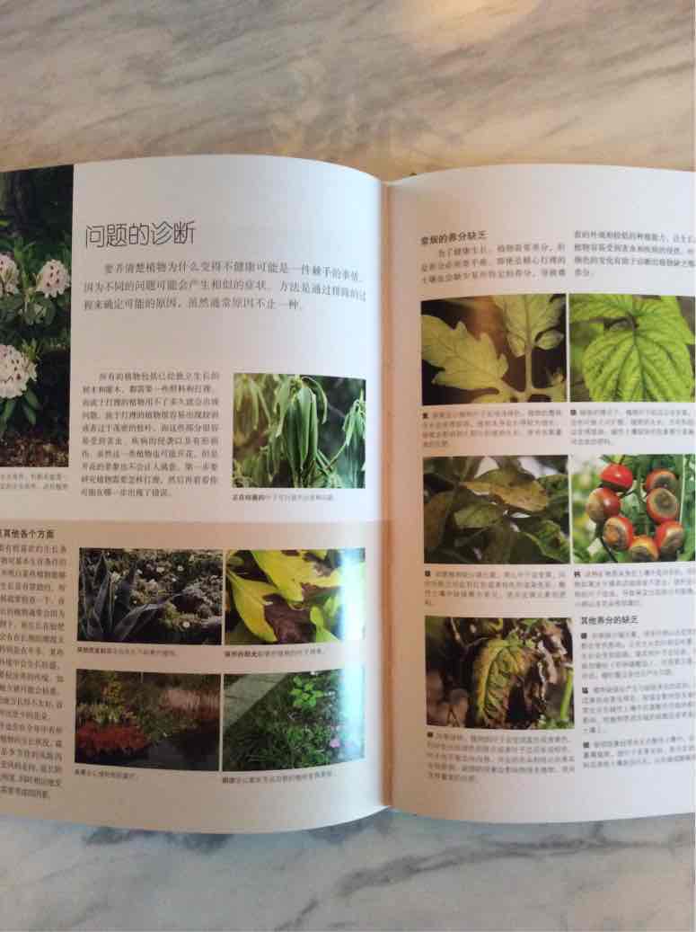非常详实的园艺百科，值得收藏！