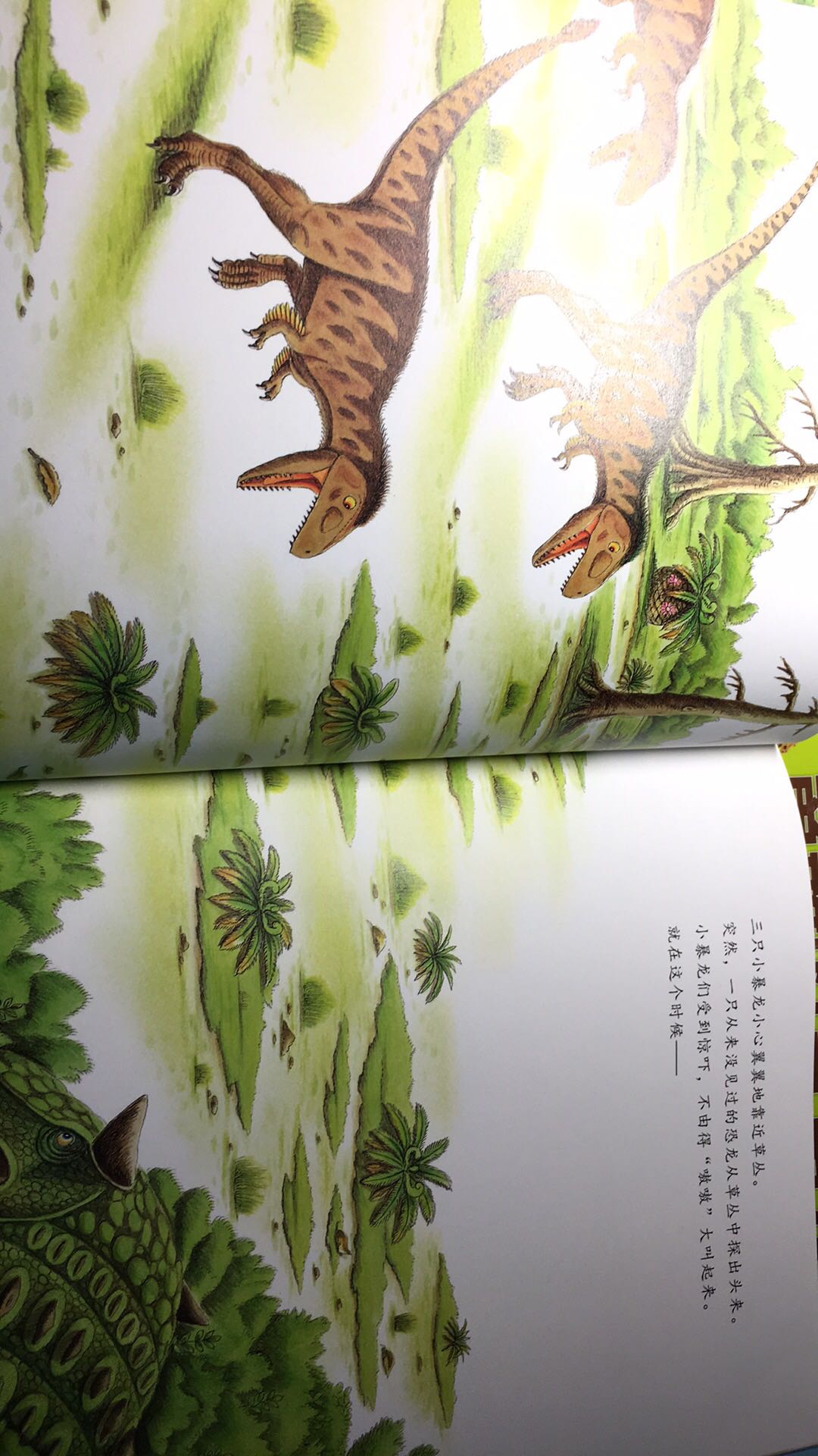 女儿是个恐龙迷，几乎所有恐龙的绘本都买了。这套是《恐龙大陆》作者的新书，一看到立刻买下。反复读了好几遍。非常满意。
