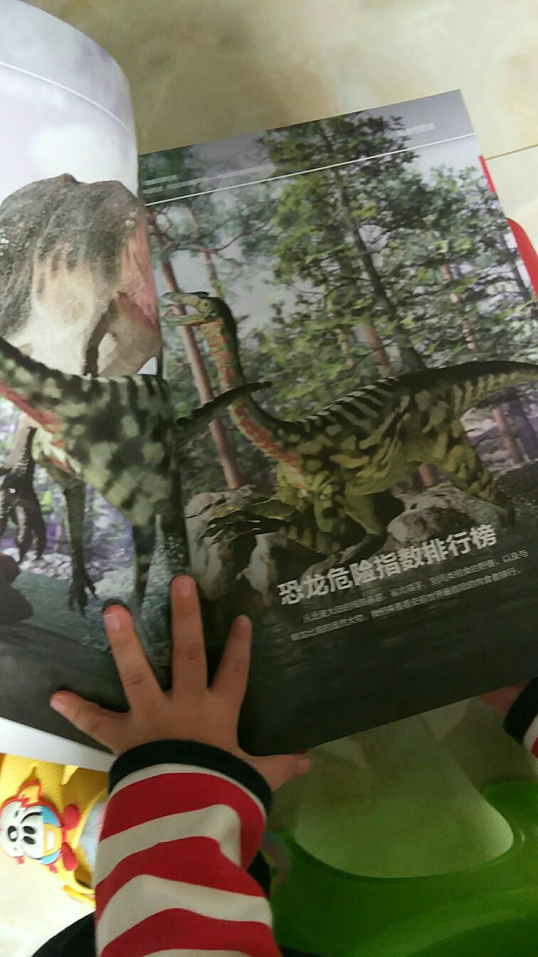 孩子很喜欢恐龙，一收到就看起来了