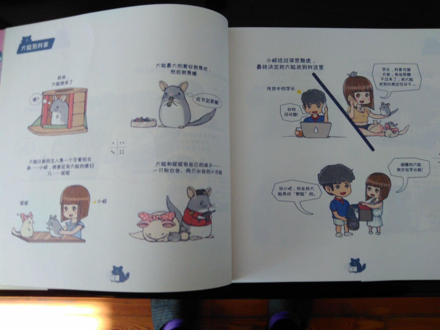终于买到这本书了，众多龙猫迷强推的书，韩大大画的棒棒的，也学到了怎么养龙猫，很有爱，强烈推荐