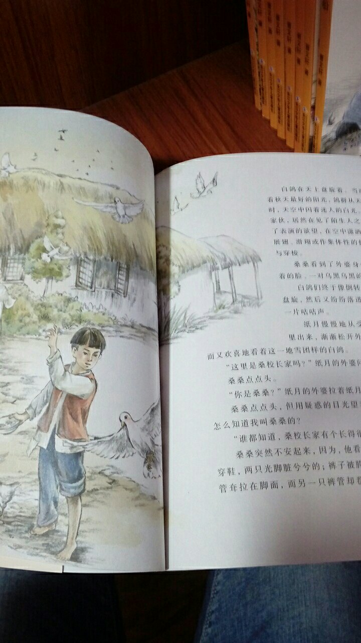 草房子。曹文轩画本。纸质很好，不是很大味。画不是很精致，由长江少年儿童出版社出版。孩子很喜欢！下次还会买。