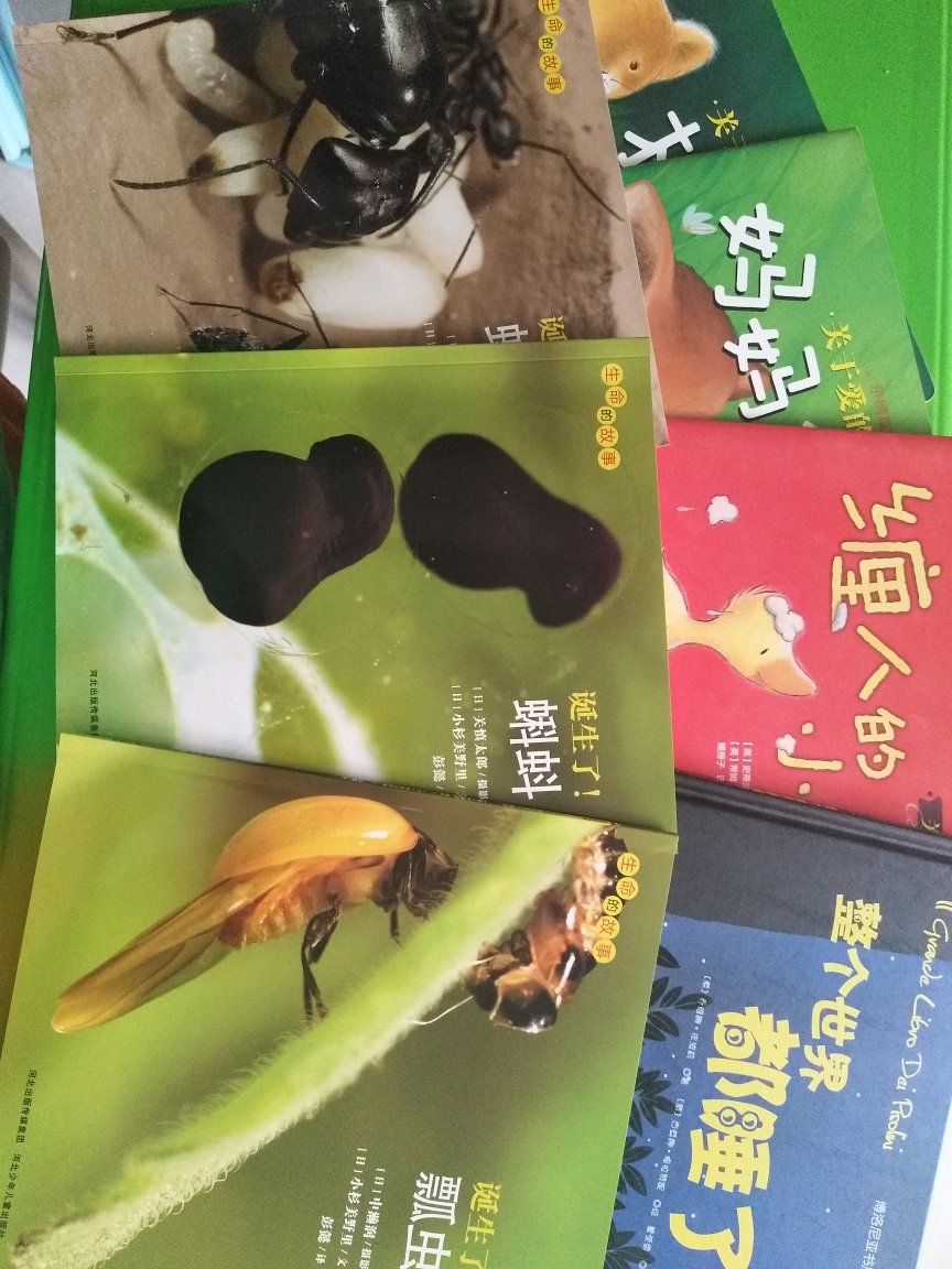 自从开始学会了上网网购，我再也没有逛过书店，现在买书是成箱子的往家搬，加上物流服务太好了，每次都是送货上门，快递员也不怕爬楼梯，而且特别热情，最重要的是书的价格真的是特别亲民，书的质量绝对正版，质量杠杠滴，买书不上，上哪儿去呢？大宝二宝的书就被承包了！小时候是，长大也是！