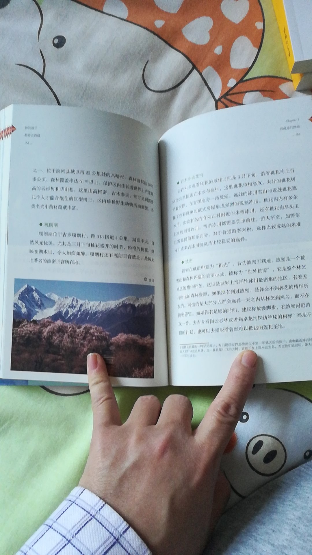 西藏旅行完全手册！介绍的特别详细全面！虽然我算是去过一次西藏了，买本书再详细了解一下，为下次出发再做好功课！书的品相完好！读书真是一件很美好的事情！感谢，活动购书是读书人的幸事！