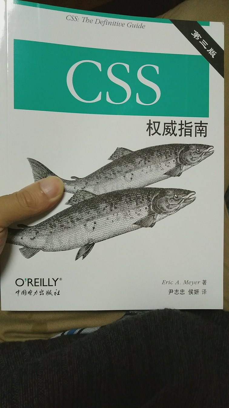 买这本书，主要还是为了查询些老的CSS，笼统的看上一次，我觉得能让我印象更深刻