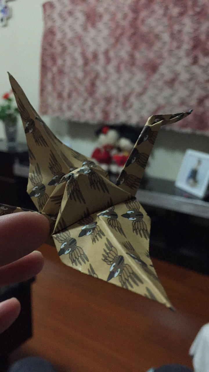 纸张偏薄但适合折纸。教程有些步骤太简略，第一个鹤花了我半小时才琢磨出其中含含糊糊的一步。