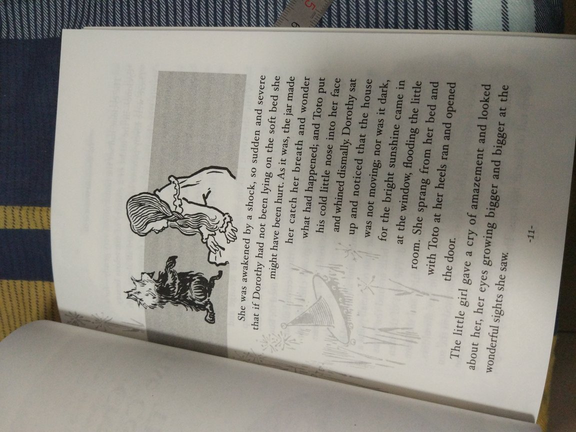 买了珍藏版的《绿野仙踪》，却只有中文没有英文，所以找来纯原版对照着看，原版插图，字体也很舒服，很不错。