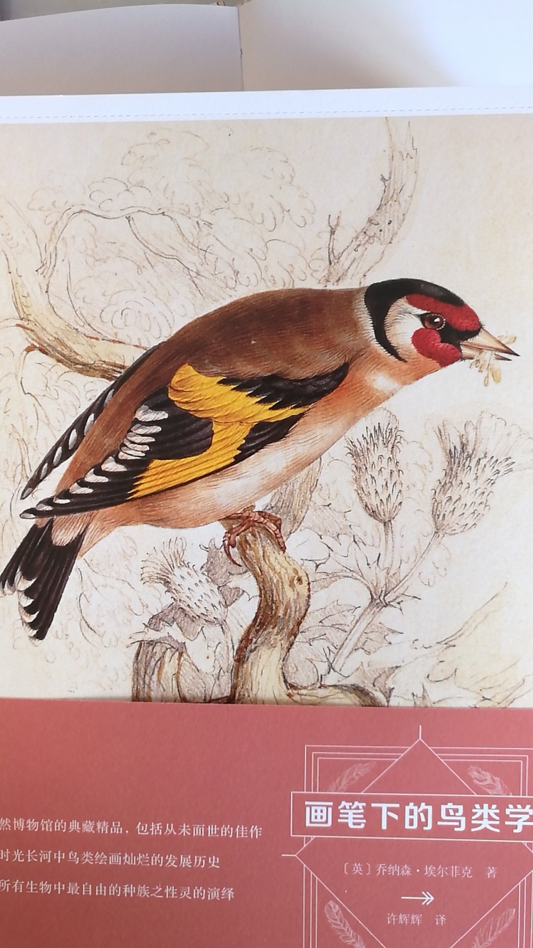 很细致的画，介绍鸟类知识也不错，适合爱好者收藏。