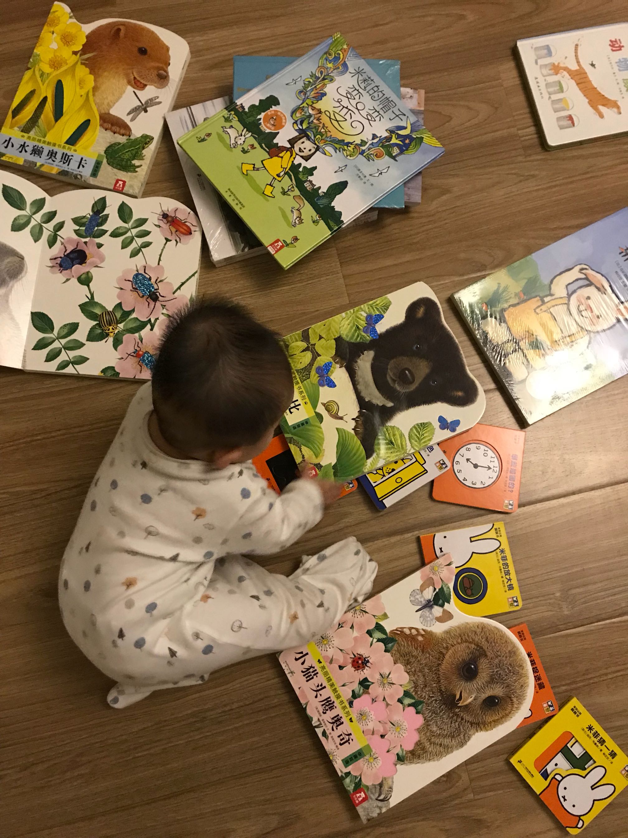 每次的购书活动，我几乎都参加，而现在买的最多的是婴儿书，想给宝宝一个美好的童年，培养一下阅读兴趣。