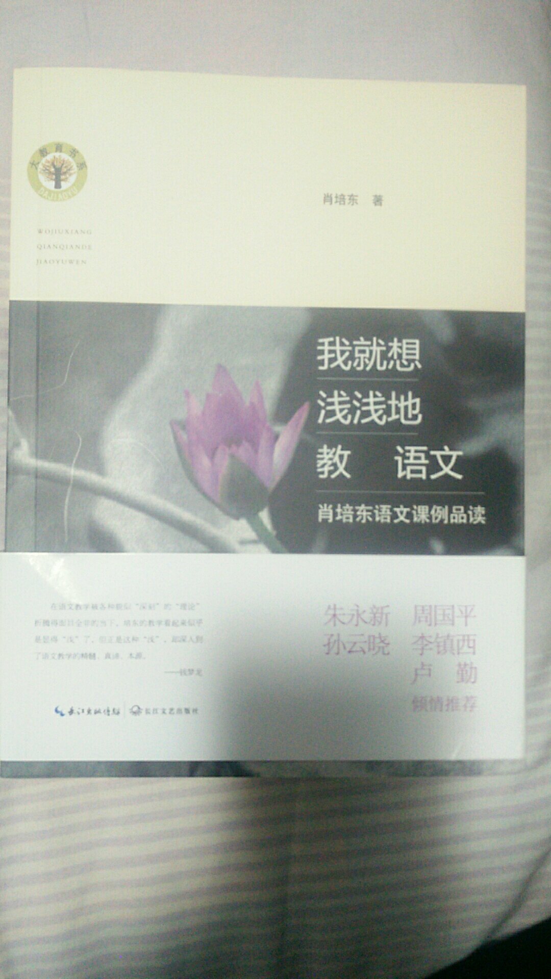 非常不错的一本很实用很给人启发的教学类图书！真的不错！