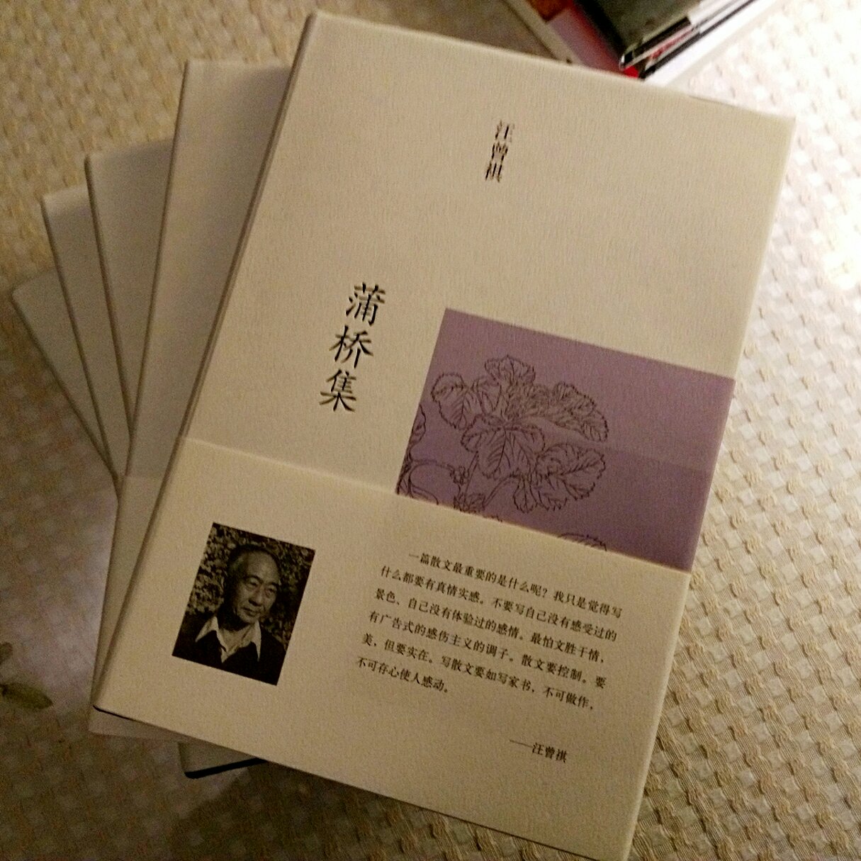 汪先生的书一直想买，是最值得珍藏的，能常读常新，塑封膜包装的非常好！正版无疑！