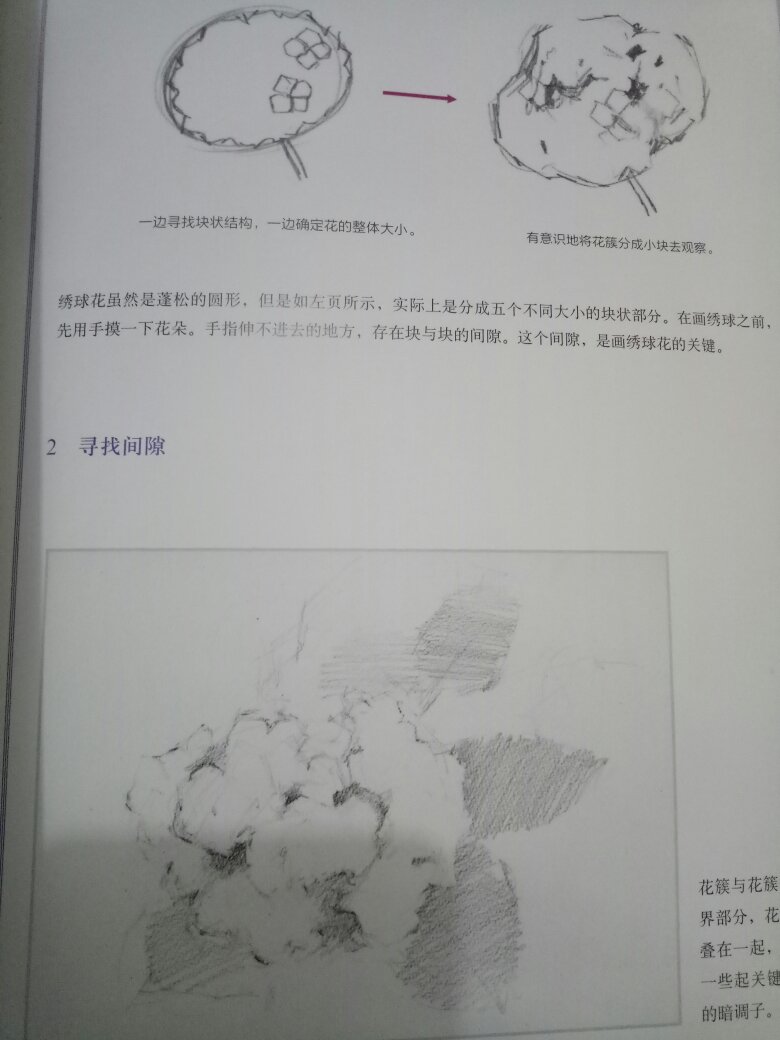 很好，喜欢这个作者的画，这本书基本都是讲花卉的，很好看的花花。