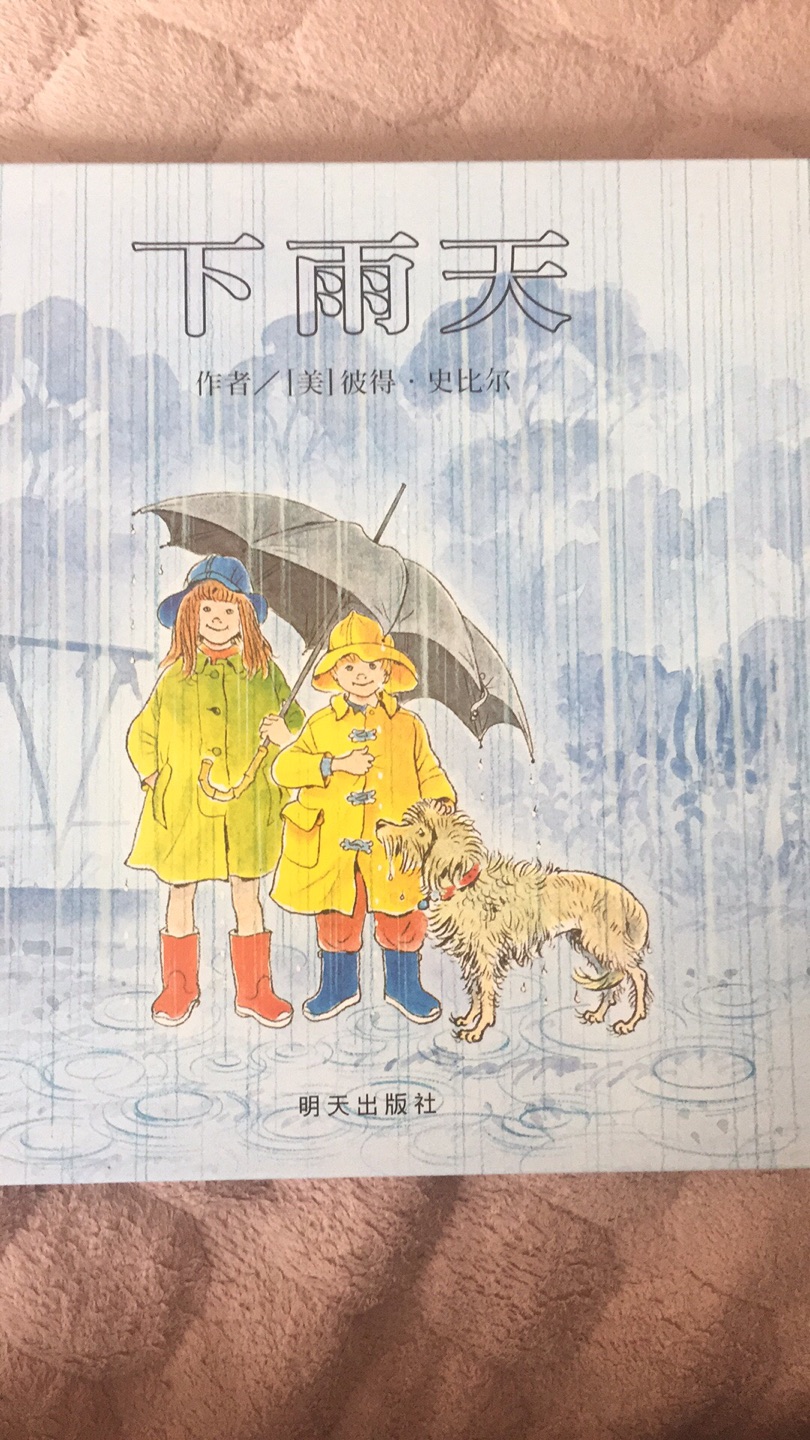 本来是要买韩国李惠利的下雨天，结果买错了，但是这本下雨天也特别好，画面也漂亮