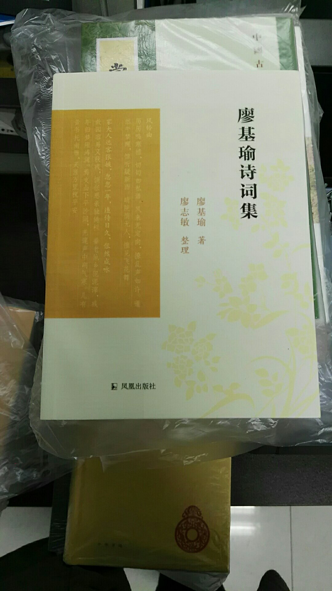 很薄的书，女诗人的作品不到全书篇幅的三分之一。打折下来，还是贵。