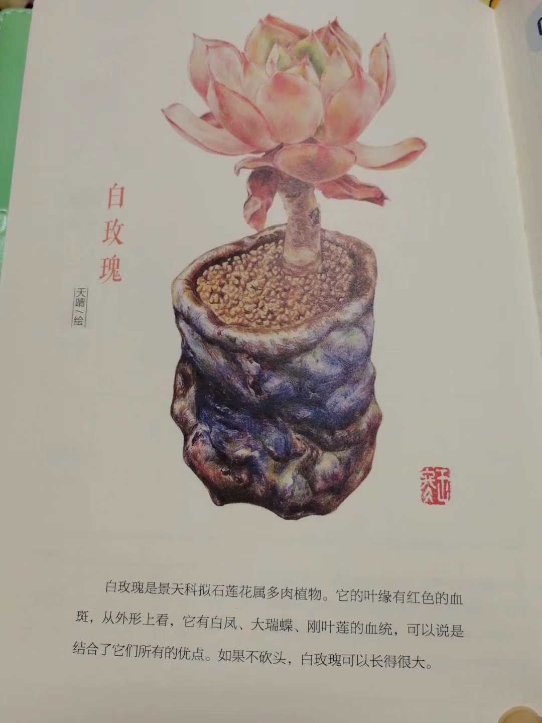 无意中发现的，很精美的本子，趁着图书活动入手了