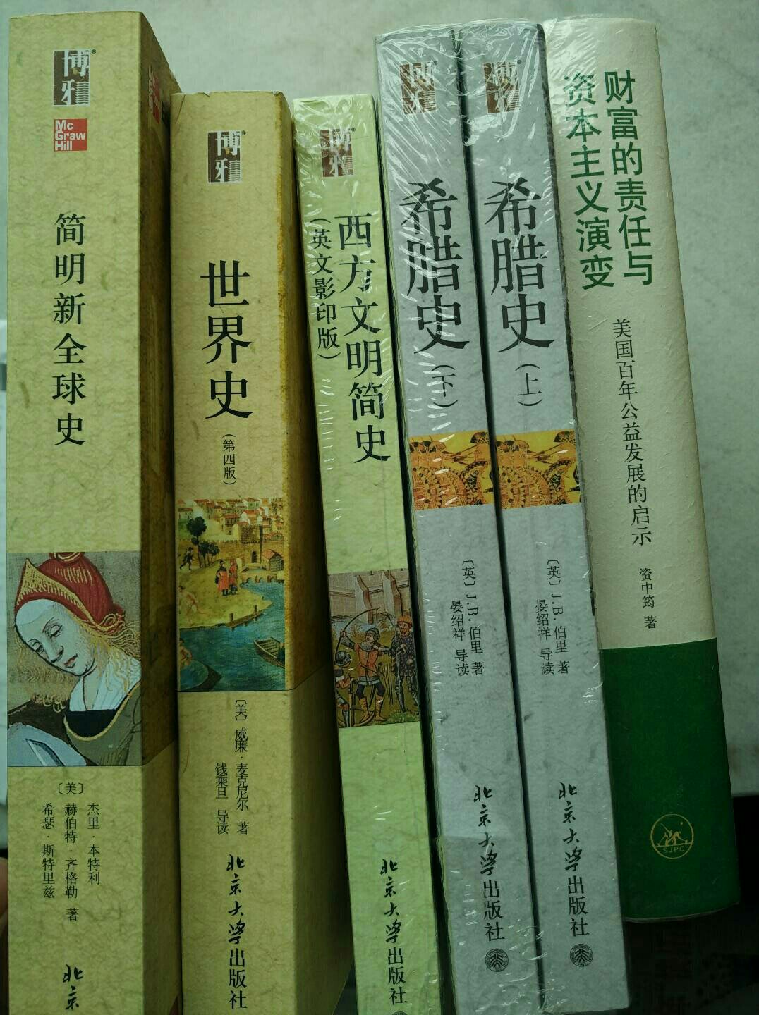 新史学这个系列真的不错，很多都是年轻学者，视野很广，未来真的很有前途。