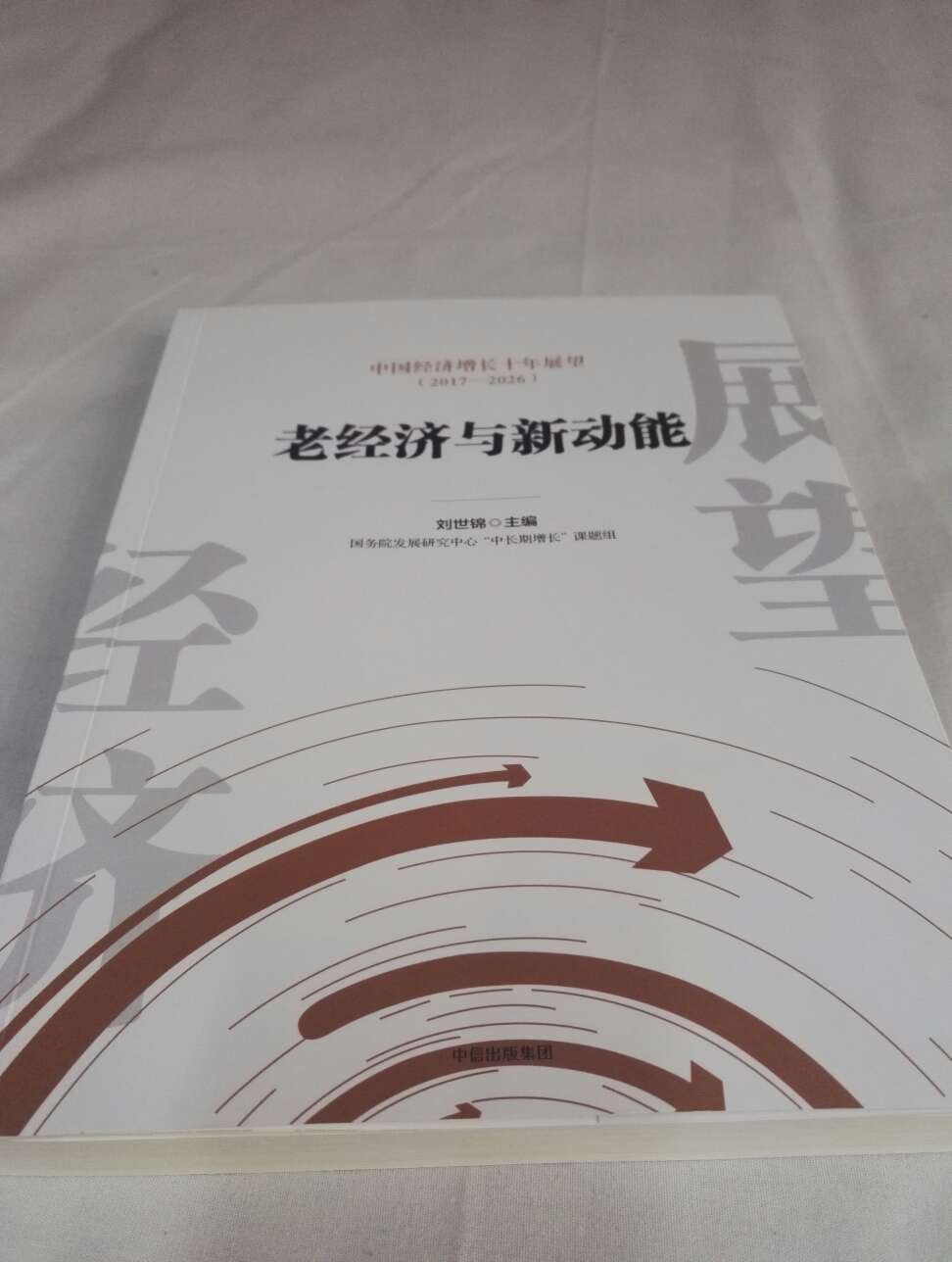 书很不错，主编是刘世锦，内容逻辑性强，有各种统计分析，经济展望而言，这本书值得一买