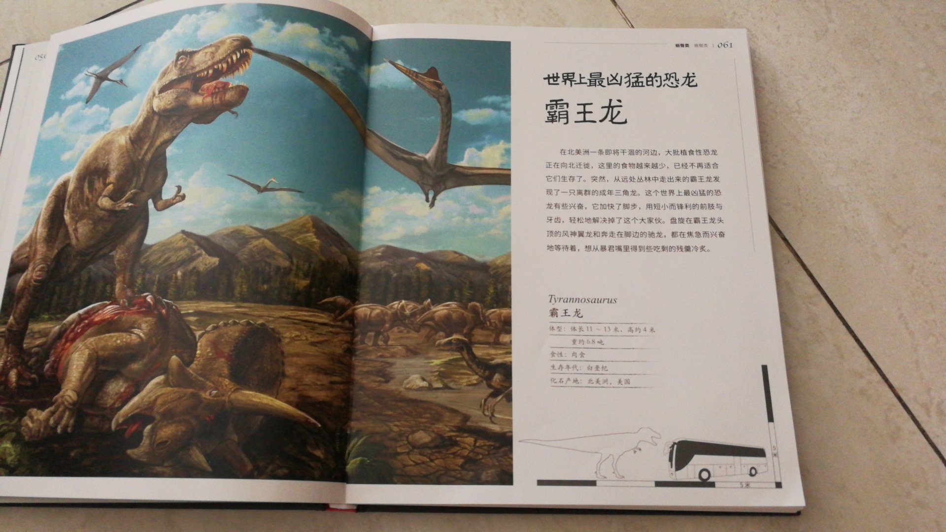 孩子是个小恐龙迷，这本书他很喜欢，里面恐龙种类齐全，图片也很好