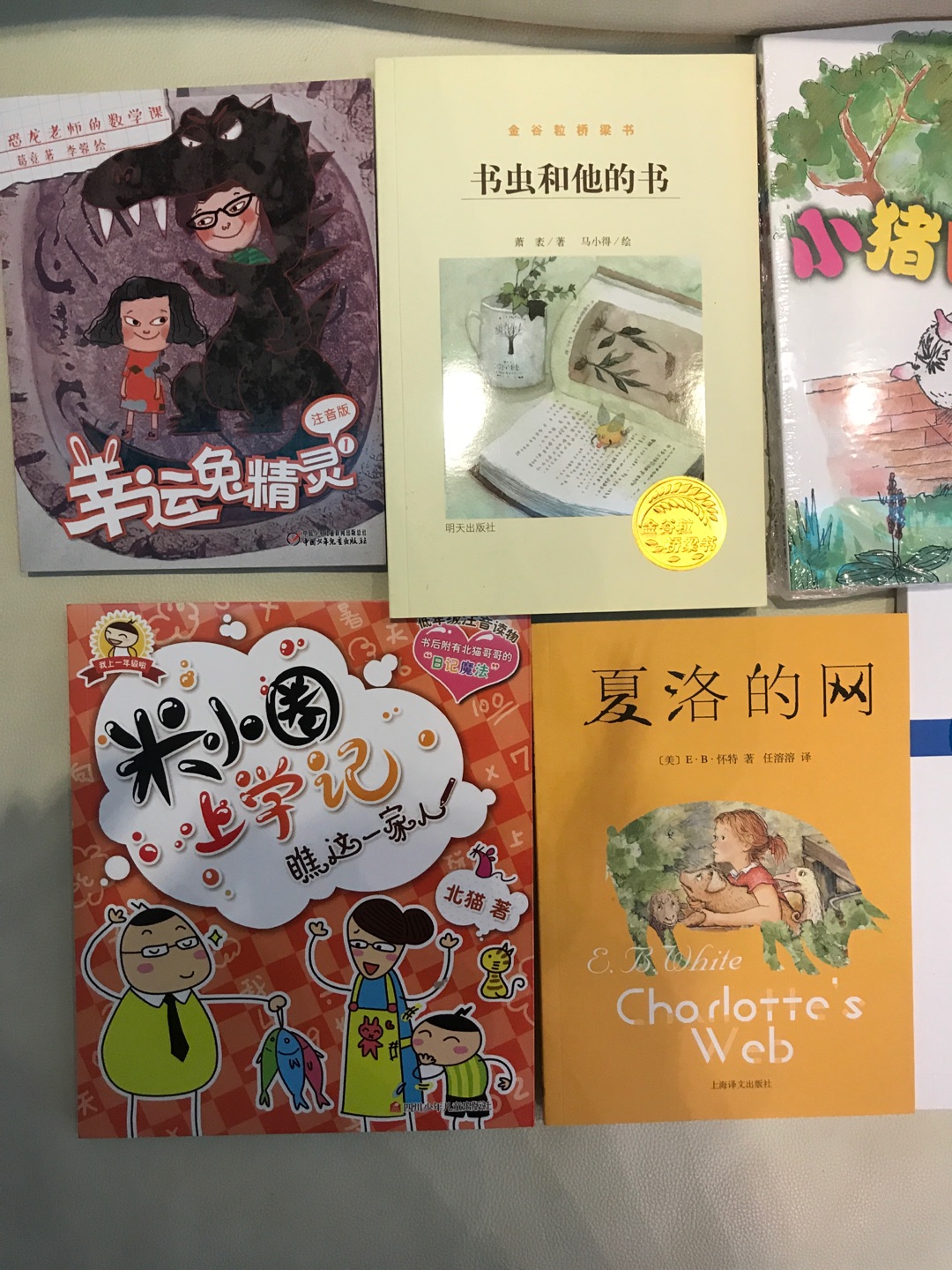 老师推荐一年级的小朋友阅读本套书中的《恐龙老师的数学课》。中国少儿出版社的，应该错不了，所以我买了全套，跟小朋友一起学习。