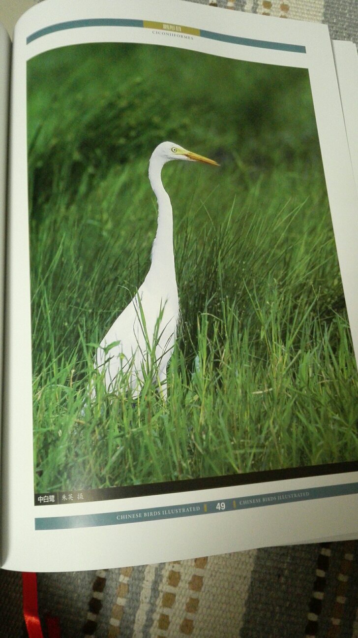 本书对认识鸟类非常有帮助，关键都是用照片来辅助说明的，比以前买的鸟类图鉴类书都是用画出来的要好很多，值得购买给一个赞