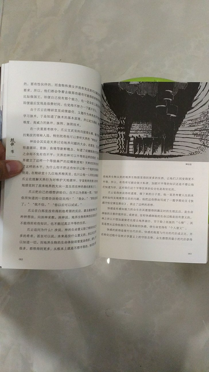 在网上已经看过全文之后仍然决定买下一本。迷麟人物塑造很成功。世界观塑造也很成功。作者或者其他人如果把这本书扩展开好好写写，文笔好的话我还会购买。