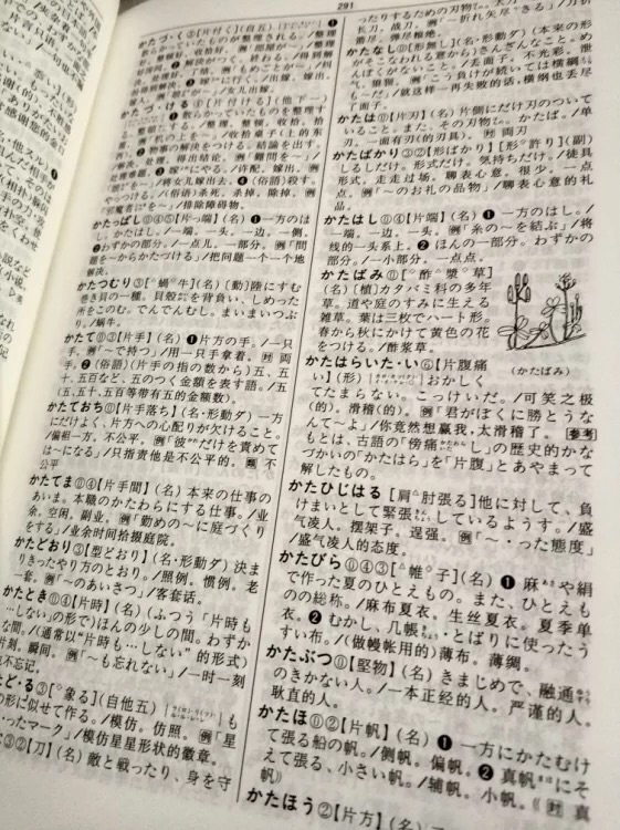正好要学习日语了，所以买本词典备用，大概翻了一下，还不错，希望能对自己学好日语有帮助，物流还是一如既往的好