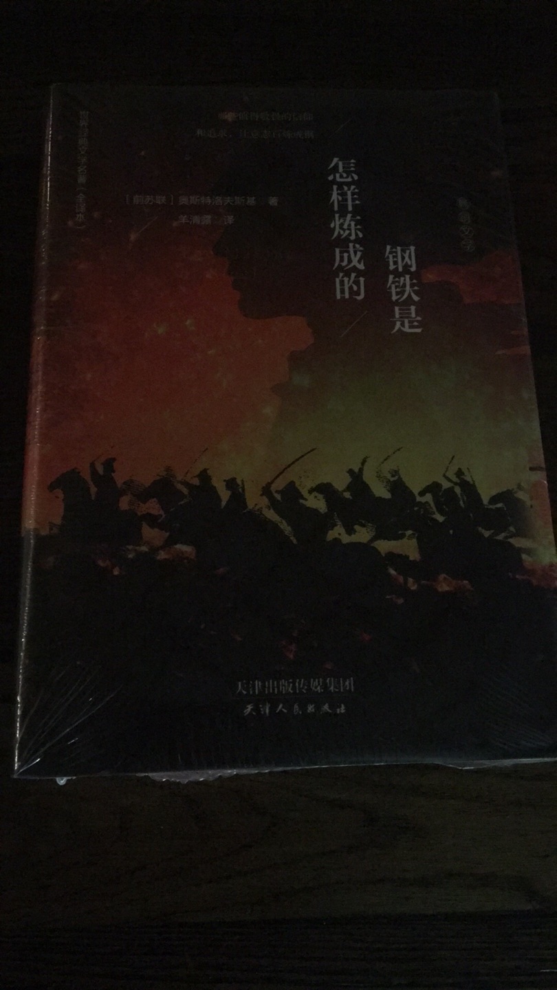 从小到大一直听说保尔柯察金，可还真没看过，学习一下。