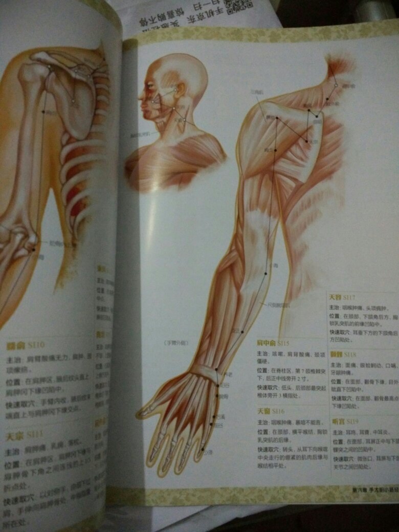 很实用的一本经络穴位大图册，彩版很清楚