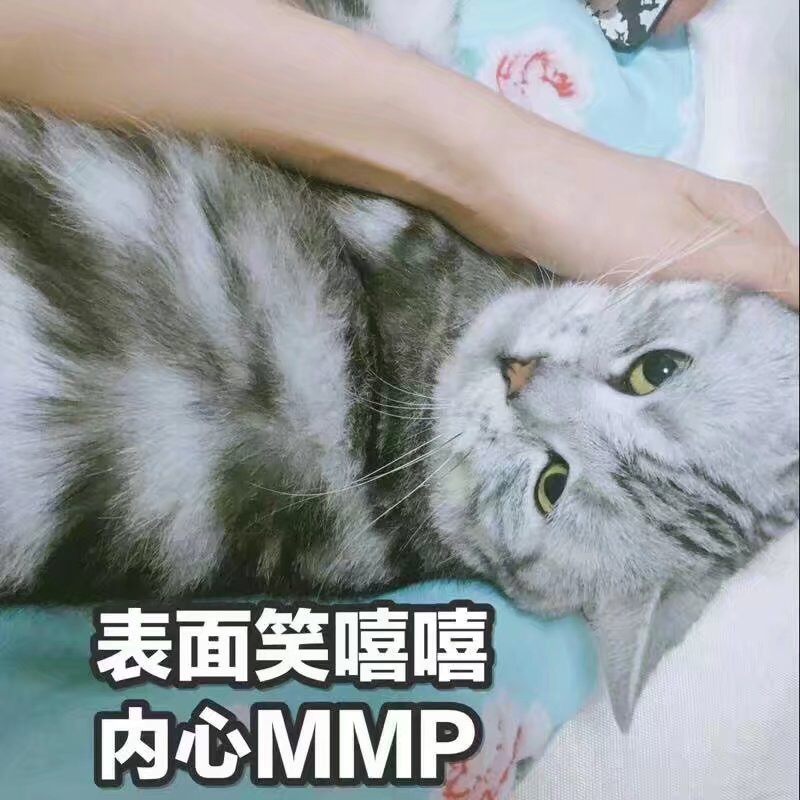 买赔的书 能说啥