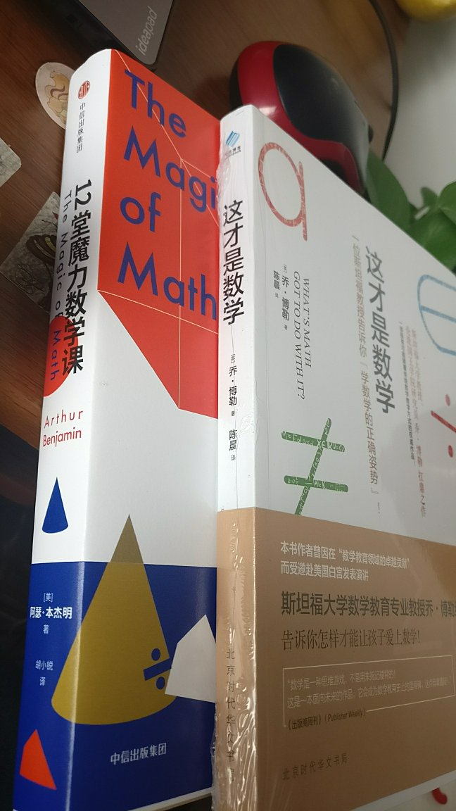 学好数学的人成绩不会差，仅以此书鞭策自己与鼓励孩子