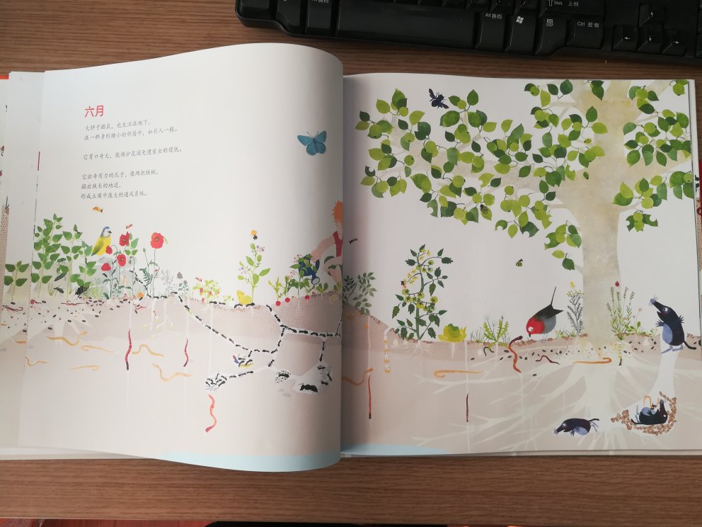 大开本，封面，插图特别漂亮，讲述了孩子对大自然的了解和探索。