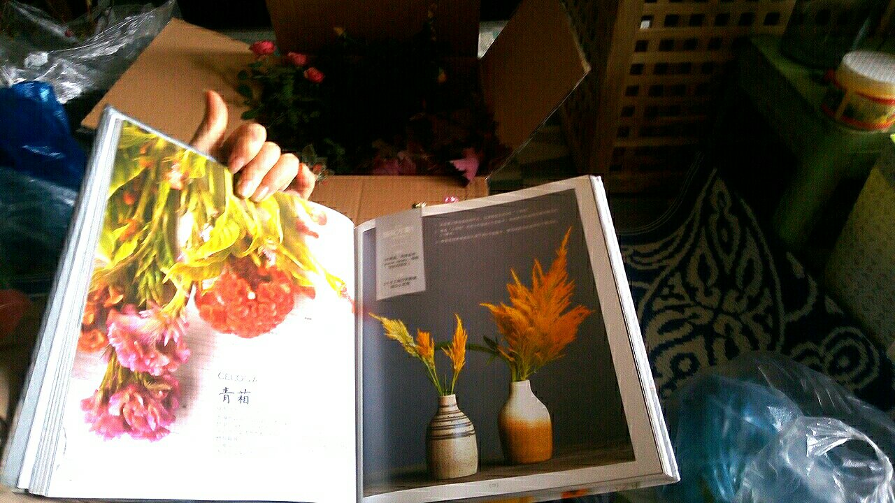 因为想我自己做纸艺花，就买了这本书学习搭配，很好，里面的图片很美。