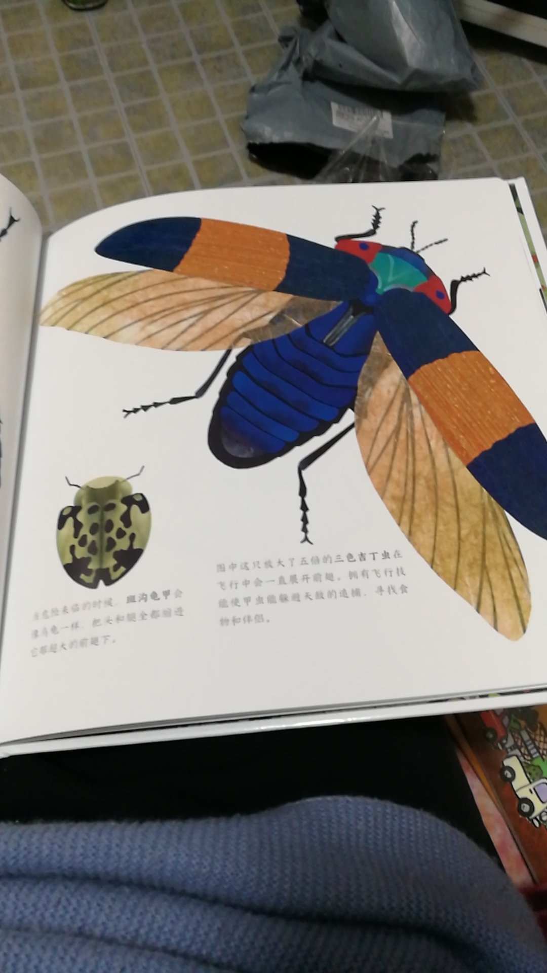 冲着作者买的，但是对于五岁女儿来说太难了，是一本甲虫的百科全书