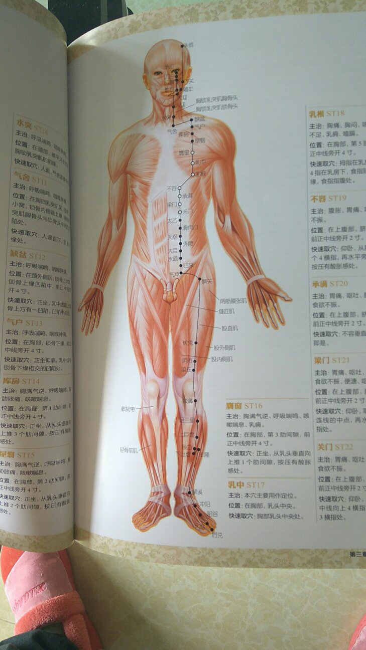 图很大，清楚明了，可惜没有足底穴位，美中不足。
