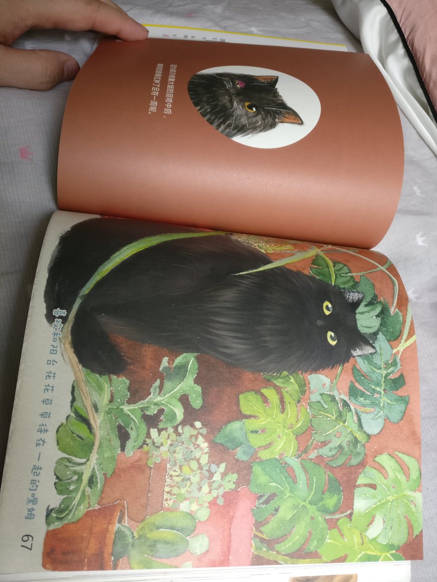 书非常有意思！！！猫画的超可爱！！！作者把自己的真实故事写了进去，代入感很强