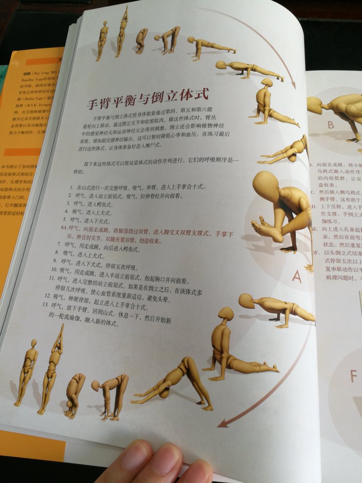 瑞隆新出的两本书，之前买来瑜伽3D解剖书两本，据说还有两本没有出版。这个系列很好，在艾扬格精准习练的基础上结合了西方解剖学，不练伤才能更长久的习练。
