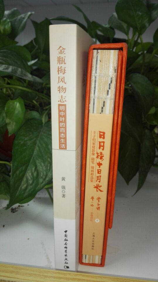 由序章书名解入笔，而后从历史角度、服饰描写、饮食习俗、民族风情、经济生活五个方面，多角度、全方位地剖析《金瓶梅》所反映的明中叶的服饰潮流、官场腐败、婚姻基础、养生之道、游艺娱乐、购房置业等社会生活