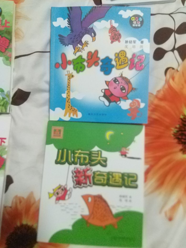 给小孩寒假里买了看的，她很喜欢，谢谢小哥送上门