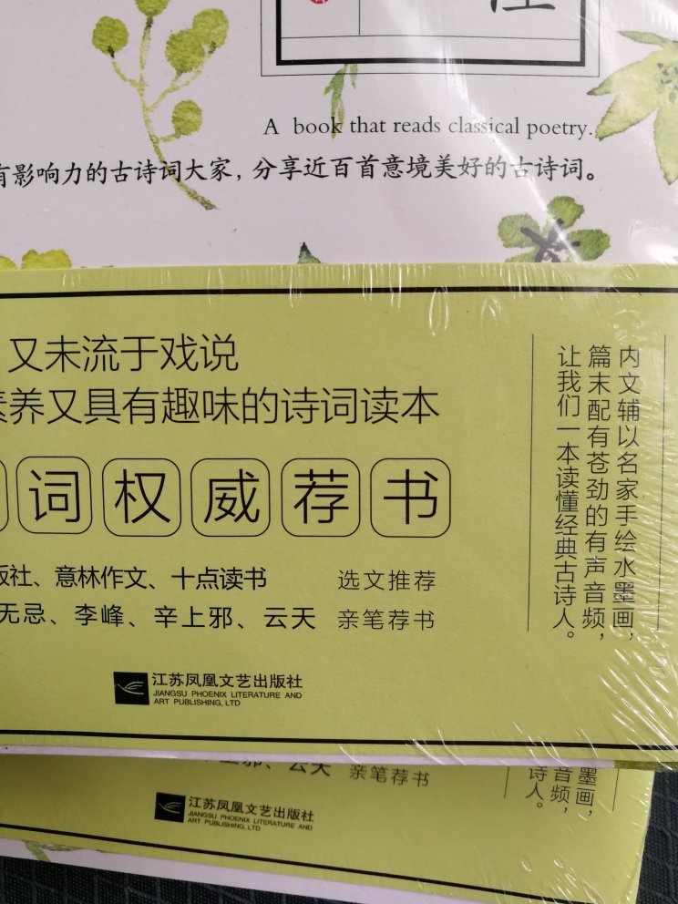 先是阅读了她的微信公众号，文字抒情，笔调滋腻，是了解诗人八卦和心路历程的好文字