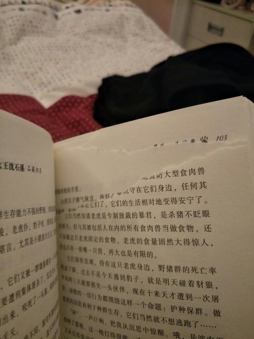 动物小说大王沈石溪·品藏书系：最后一头