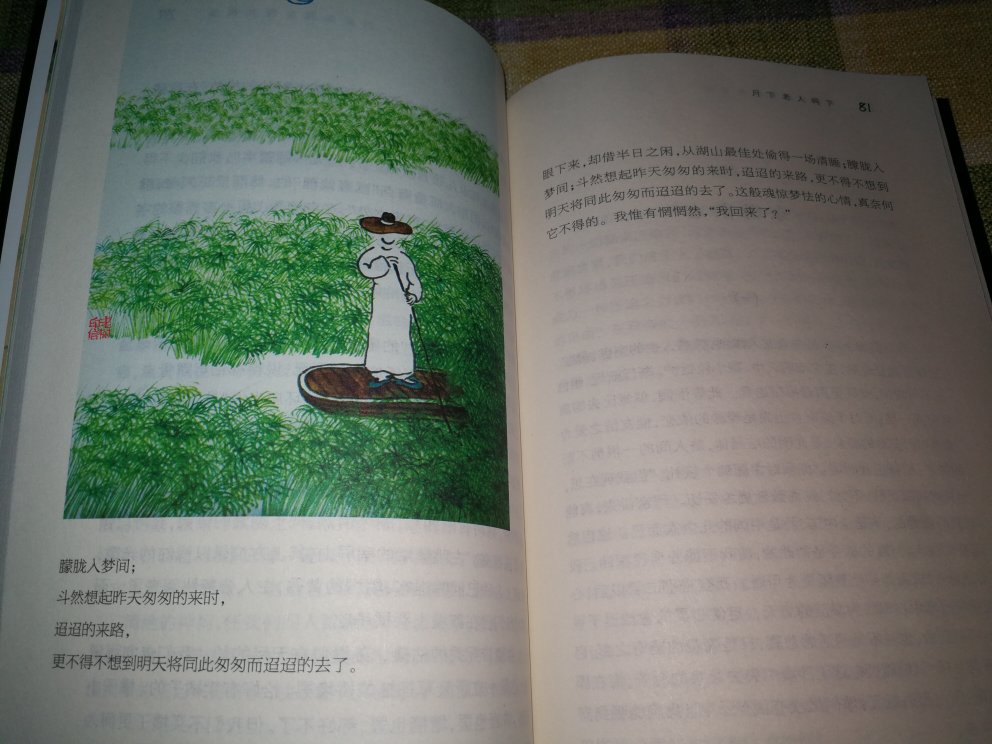 这套书最大的亮点是插图很别致，有名家名作，也有普通画家的插画，但是都特别精美！水彩画的尤为漂亮。选文也很经典，价格又便宜，非常适合学生购买和阅读。能让他们领略中国现当代文学之美，爱上阅读！非常推荐中小学生购买！