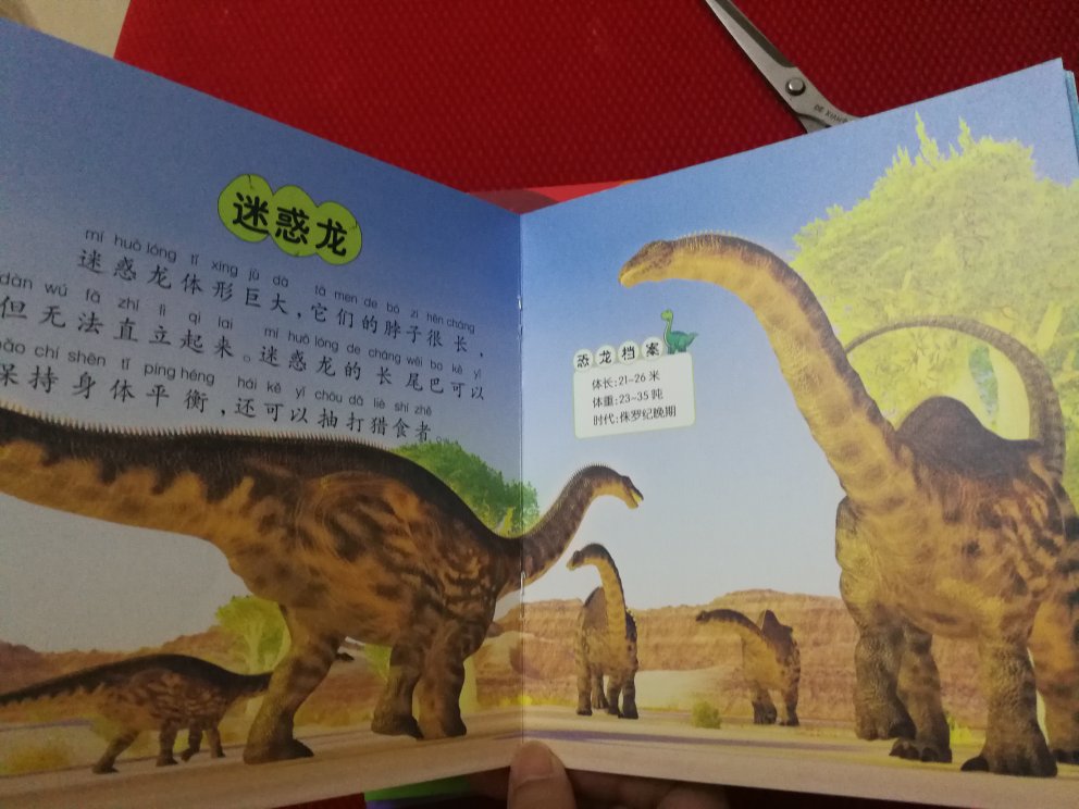 跟我想想的不一样，是各种恐龙的名字和背景介绍，原本以为会是故事串起来的，不知道丫头看不看这样的恐龙了。纸张还比较厚实，色差鲜艳，订书针订的。