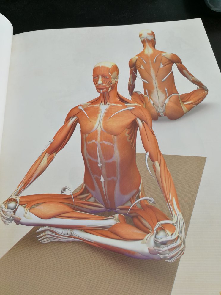 瑞隆新出的两本书，之前买来瑜伽3D解剖书两本，据说还有两本没有出版。这个系列很好，在艾扬格精准习练的基础上结合了西方解剖学，不练伤才能更长久的习练。