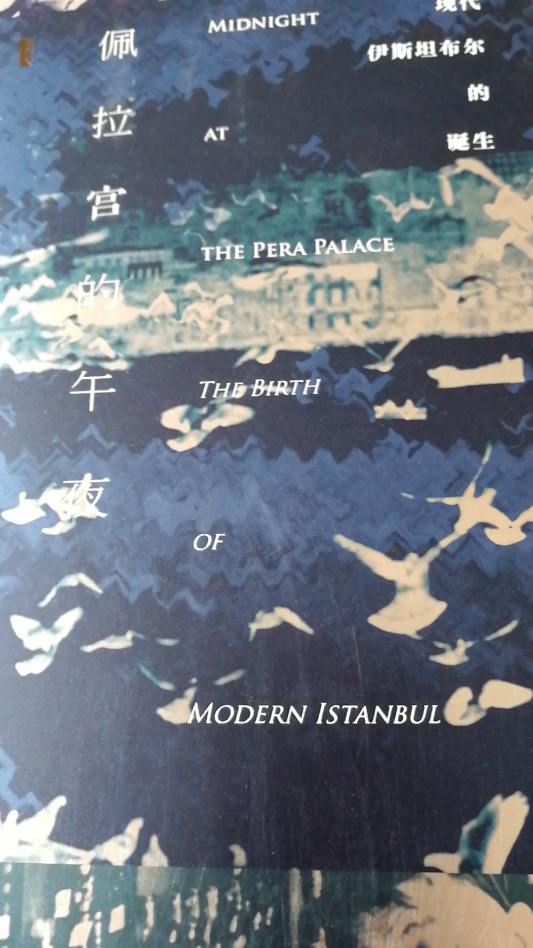 对土耳其这个反复无常的国家开始有兴趣了，欧亚中心，不错的一本书
