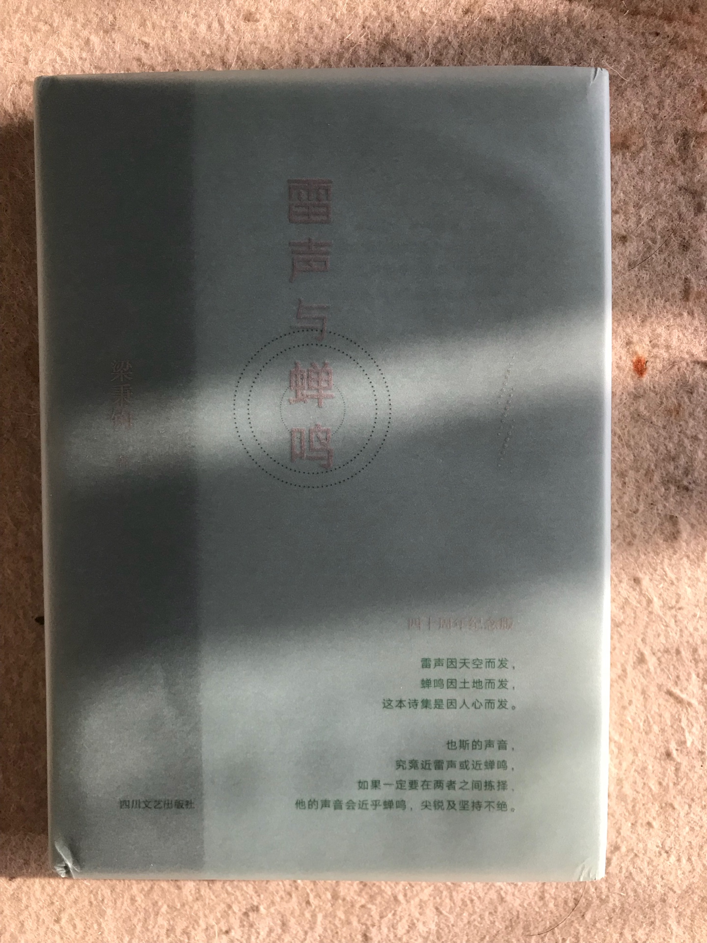 香港最重要的新诗集（没有之一）。重版设计大方，允为经典