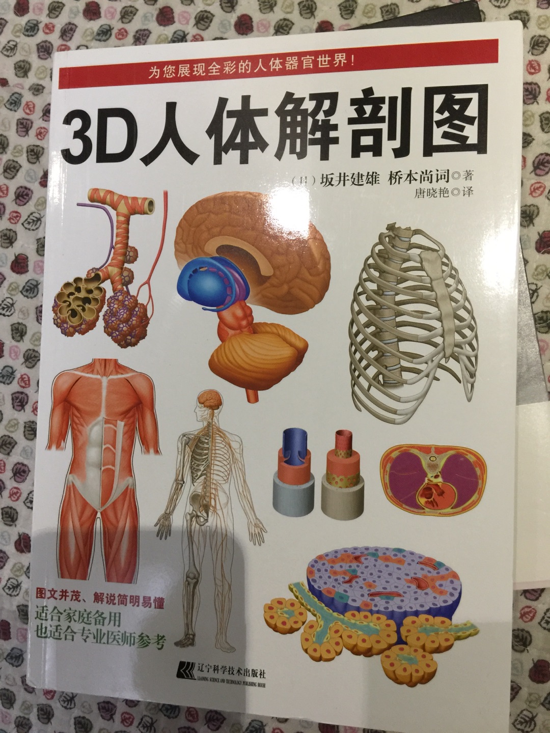 很有意思的一本书，门外汉可以了解身体架构，小孩子也能看