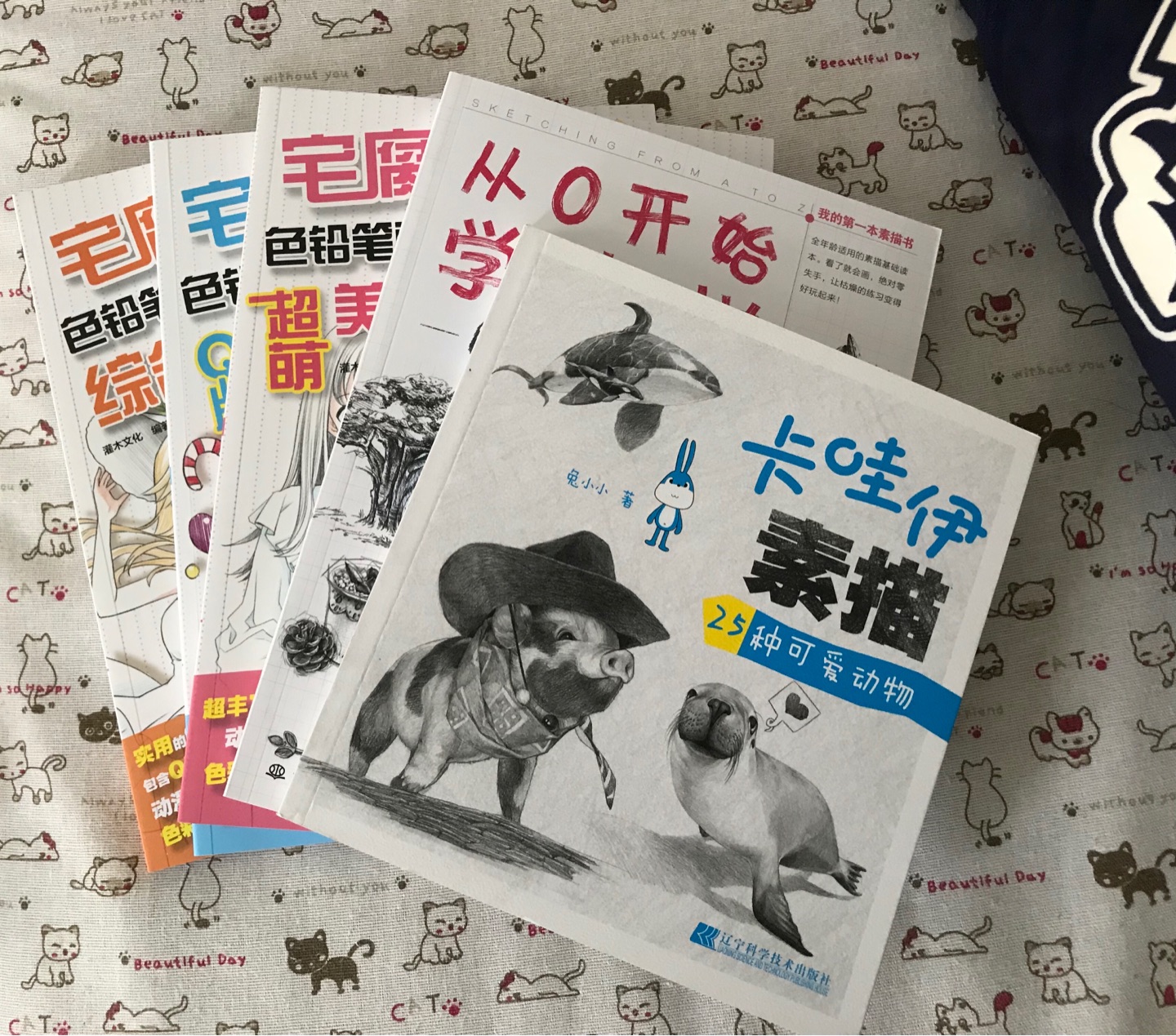 我第一次买这种书 本想买电子版的 觉得还是纸质的有感觉 练习吧 看如何