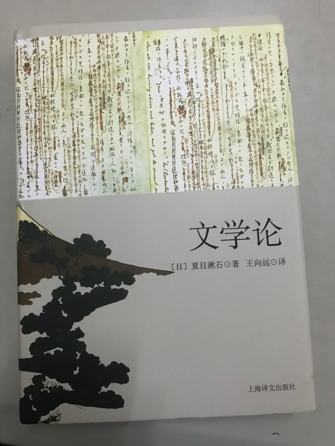 夏目漱石小说的理论支撑