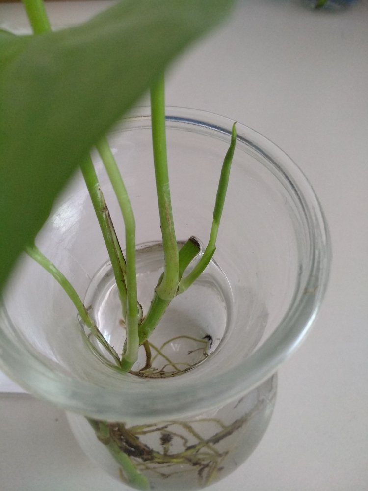 一如既往的好！一如既往的好！一如既往的好！