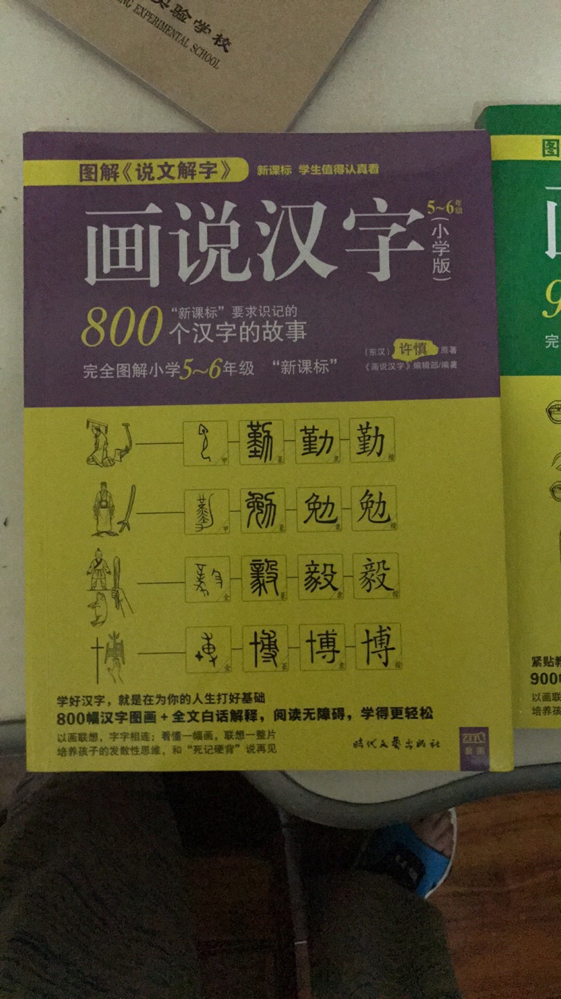 这个数是非常不错的，能教给孩子很多关于汉字起源的知识，而且最重要的是，这个书的年纪分段并不是特别明显，很小的孩子也能看高年级的书，这样的话，让他能更懂得对汉字有一个直观的认识。